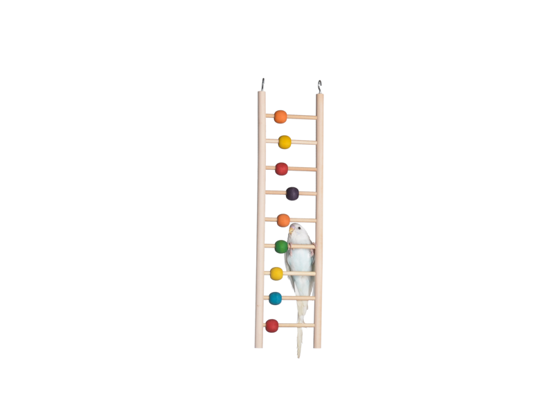 BIRD LADDER WITH BEADS 9 STEPS Bahrain Agriculture Center
