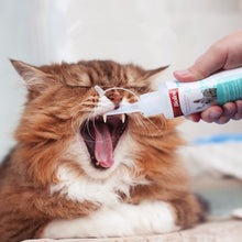Load image into Gallery viewer, Bioline Dental Hygiene Gel 100g with Beef Flavour for Cat and Dog / Cleaning Spray 175ml with Fluoride