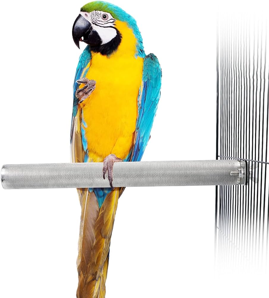 Parrot Perch. SP-308