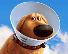 Load image into Gallery viewer, Petlicious Elizabeth Collar for Dogs &amp; Puppies cats (no-5)