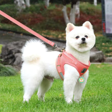 Load image into Gallery viewer, DOG &amp; CAT HARNESS  (LARGE  SIZE ) AND LEAD SET CHEST 44Xcm LEAD 150CM