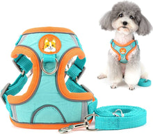 Load image into Gallery viewer, DOG &amp; CAT HARNESS  (LARGE  SIZE ) AND LEAD SET CHEST 44Xcm LEAD 150CMX6SET