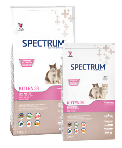 SPECTRUM KITTEN /38 CTN PRICE 12PIECS