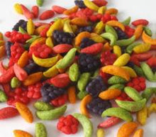 Load image into Gallery viewer, RM-2011 PARROT FRUIT NUTRITION FOOD 500GR