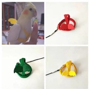 BIRD HARNESS