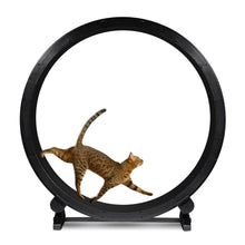 Load image into Gallery viewer, CAT EXERCISE WHEEL 128X122X30CM