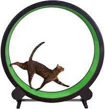 Load image into Gallery viewer, CAT EXERCISE WHEEL 128X122X30CM