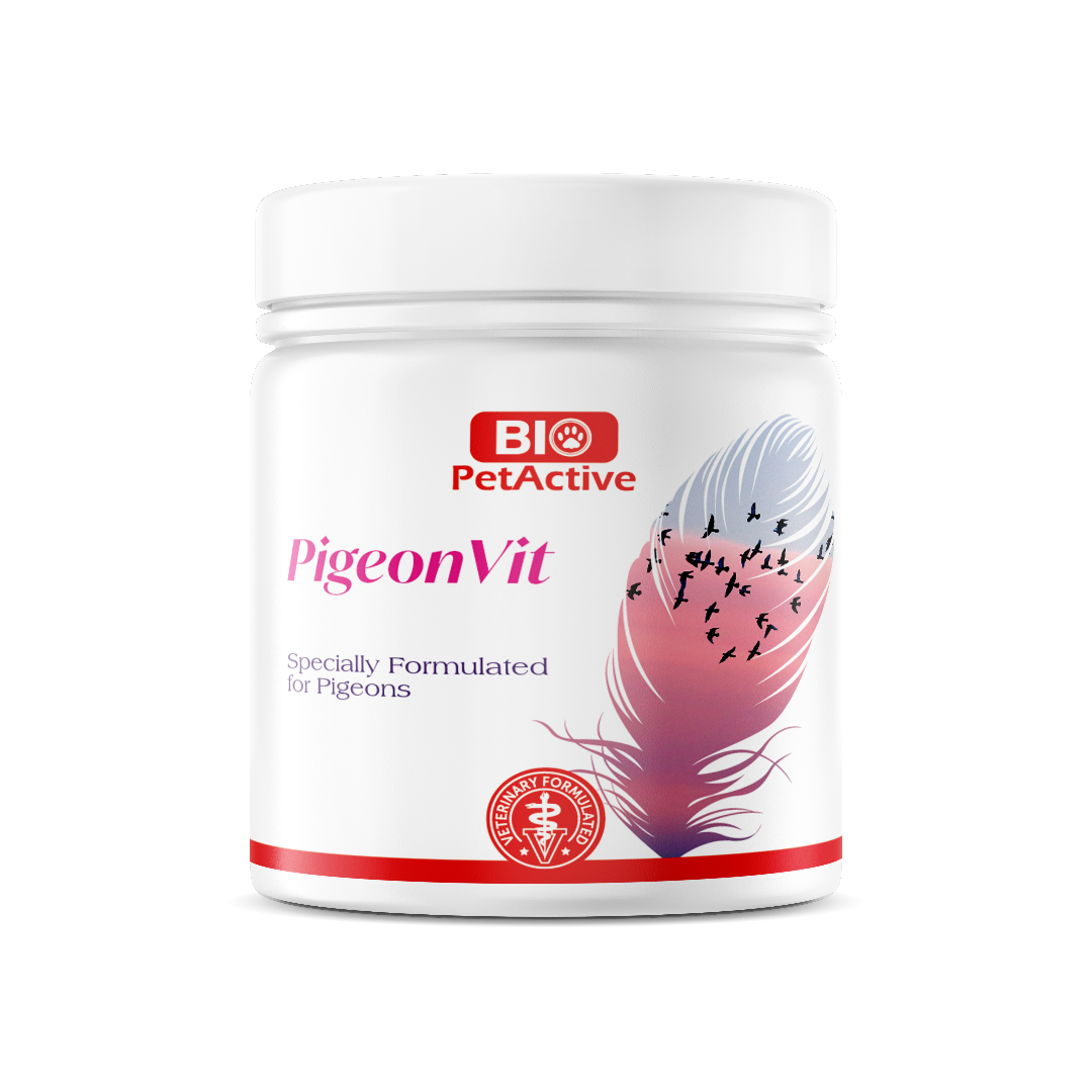 l carnitine for racing pigeons Carnispeed (Rohnfried) L-Carnitine for Pigeons/Racing Pigeon Care main image 1