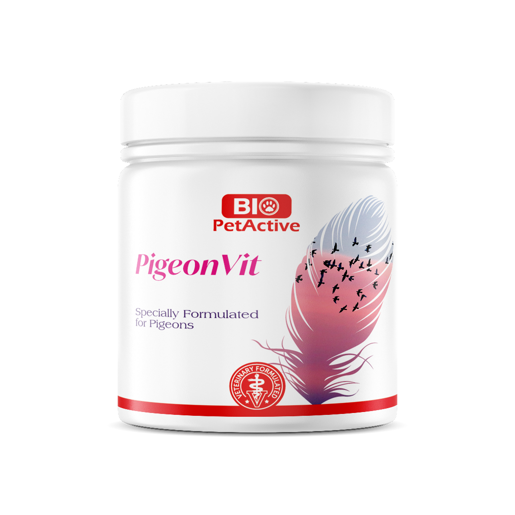 PIGEONVIT MULTIVITAMIN WITH L-CARNITINE RACING/MOULTING 300TABLT Bahrain Agriculture Center PIGEONVIT MULTIVITAMIN WITH L-CARNITINE RACING/MOULTING 300TABLT Bahrain Agriculture Center