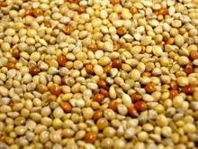 Load image into Gallery viewer, UKRAINE-BUDGRIGAR MIX WITHOUT VITAMIN 20KG