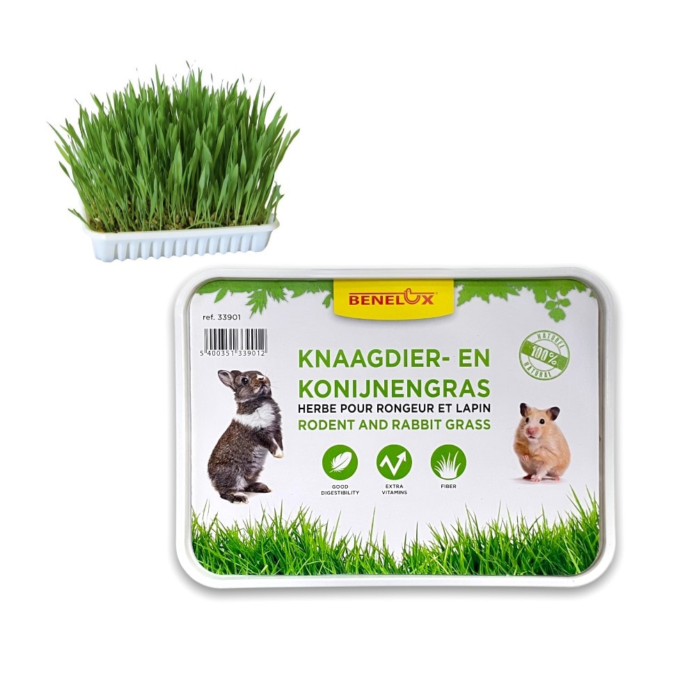 33901-RODENT AND RABBIT GRASS – Bahrain Agriculture Center