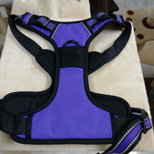 Load image into Gallery viewer, Dog Harness .Large. (0563)