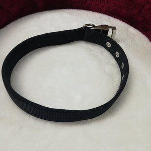 Nylon Dog Collar 24" .PUC 2524 (0593)