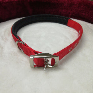 Nylon Dog Collar 22". PUC 2022 (0597)