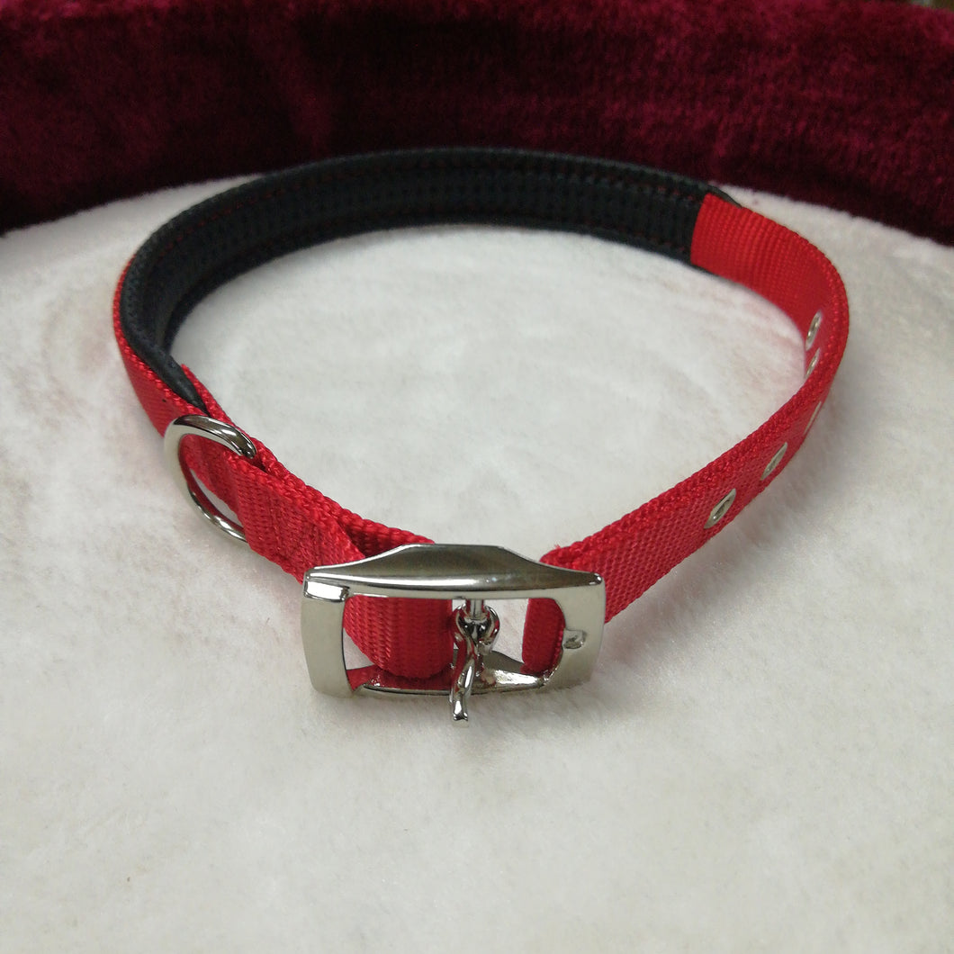 Nylon Dog Collar 22