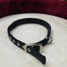 Load image into Gallery viewer, Nylon Dog Collar 16&quot; .PUC 1516 (0599)