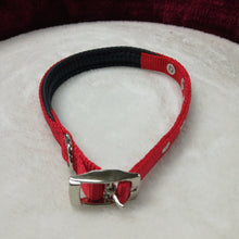 Load image into Gallery viewer, Nylon Dog Collar 16&quot; .PUC 1516 (0599)