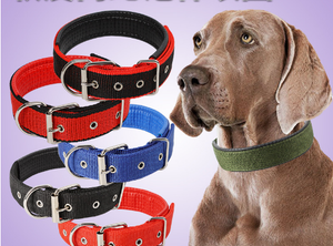 DOG COLLAR 1.5CMX45CM