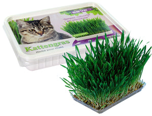 CAT GRASS 120 GR (13214)  CTN 6X120GR