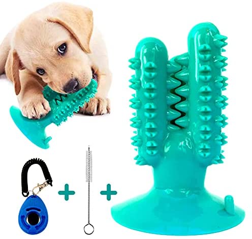 Dog Toys Cactus.(0528)