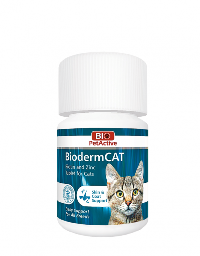Products BiodermCAT is a dietary supplement for SHINY COAT & HEALTHY SKIN PRICE PACK OF 6PIECS