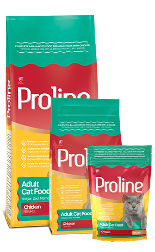 PROLINE Complete and Balanced Chicken Cat Food for Adult Cats 1.2KGX14BAG CTN
