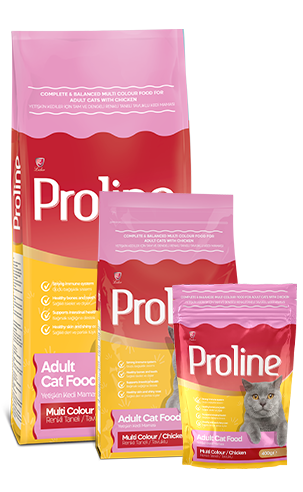 PROLINE Whole and Balanced Colored Grain Chicken Cat Food for Adult Cats 1.2KG