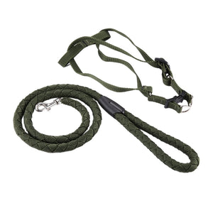 HL067-DOGLEAD WITH HARNESS WD308328 10MMX120CM(OILVE GREEN)
