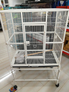 Bird Cage . B034