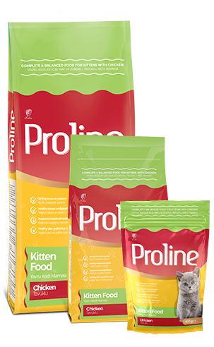 PROLINE Complete and Balanced Chicken Cat Food for Kittens 1.2KG