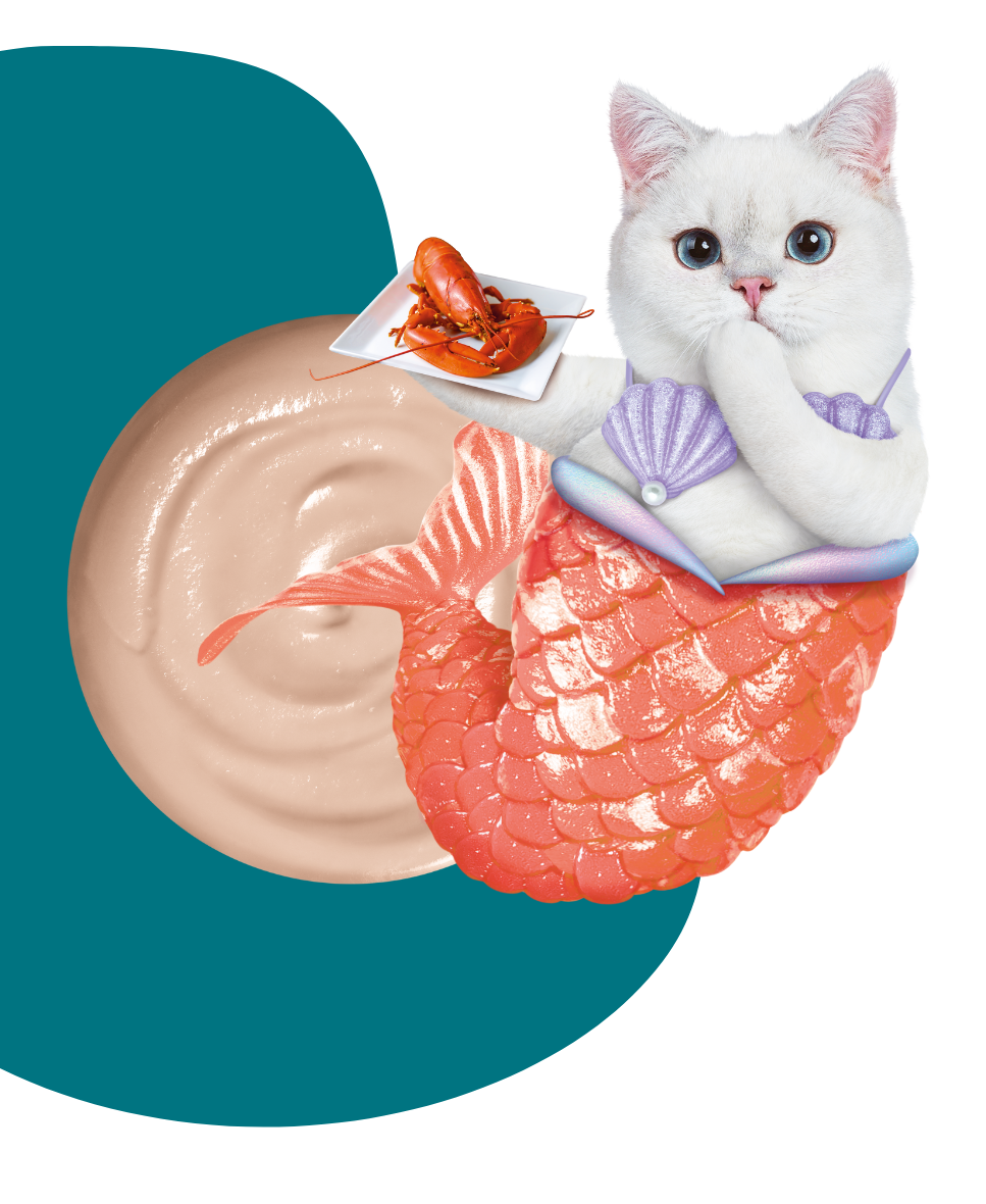 MOOCHIE CREAMY TREAT TUNA&LOBSTER Flavour 75GRX12 (DZN)