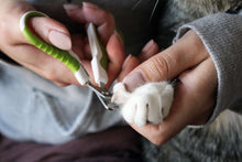 Load image into Gallery viewer, Professional Cat Nail Scissors Rabbits And Small Animals Cat Clippers Scissors Stainless Steel Curved Scissors Nail Clippers Cat