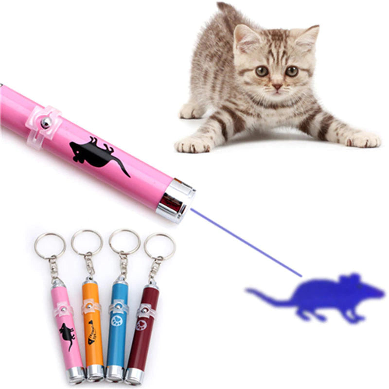 LED CAT LASER TOY Bahrain Agriculture Center