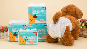 DISPOSABLE DIAPERS SMALL-10PCS (SIZE 19-37CM)