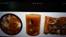 Load image into Gallery viewer, PRIME CLASSICA CANNED CATFOOD MACKERAL TUNA &amp; WHITE MEAT IN JELLY 400GRX24CAN