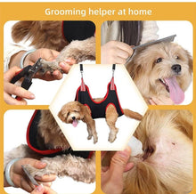 Load image into Gallery viewer, DOG/CAT HOME GROOMING ASSISTANT NAILS/TRIMMING/TAKING MEDICILNE/CLEANING TEETH EARS EYE