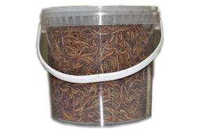 DRIED MEALWORMS 10OGR IN BOX