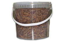 Load image into Gallery viewer, DRIED MEALWORMS IN BOX 100GRX6PCS