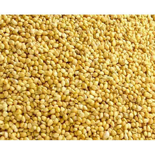 YELLOW  MILLET SEED  PRICE PER KG UKRAINE
